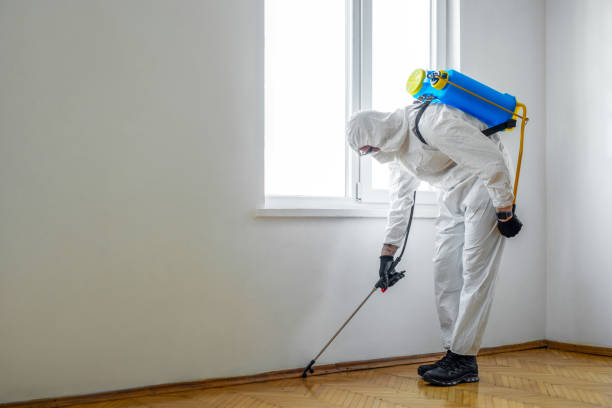 Best Pest Removal Services  in Ozark, AL