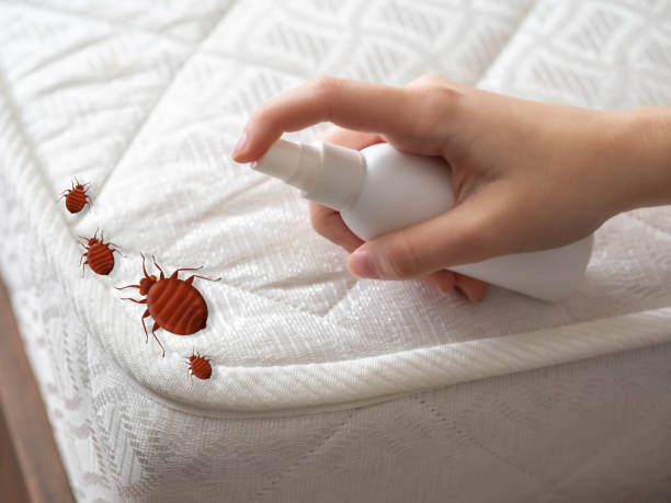 Best Wasp Removal Services  in Ozark, AL