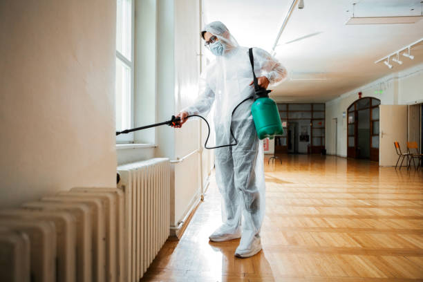 Best Local Pest Control Services  in Ozark, AL