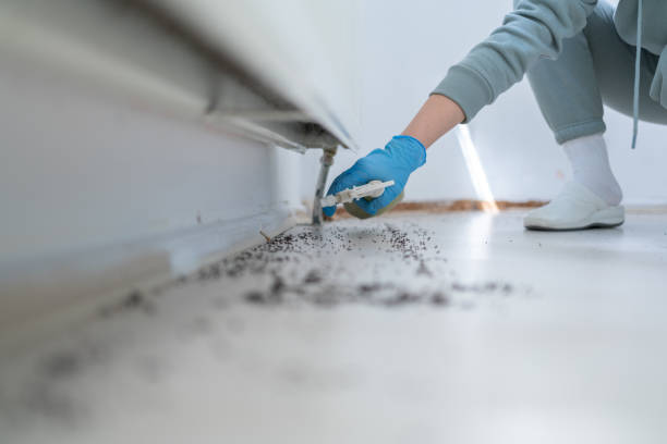 Pest Prevention Services in Ozark, AL